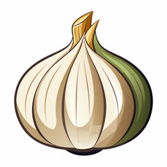 clip-art of realistic garlic vector illustration