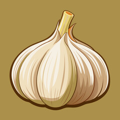 clip-art of realistic garlic vector illustration 