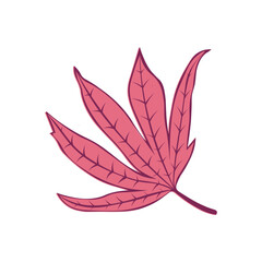 Autumn Fallen Red Leaf of Japanese Maple. Vector illustration on white background