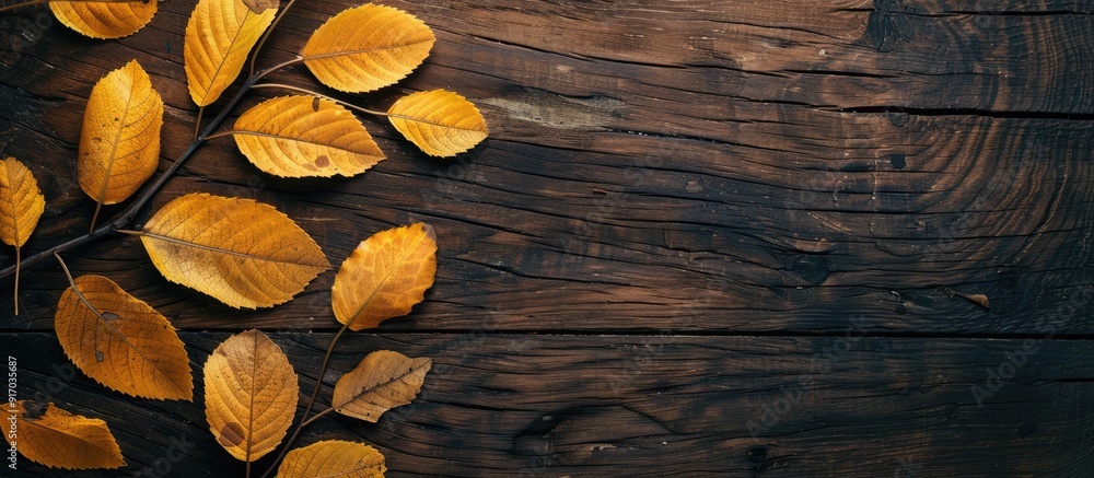 Poster yellow leaves are resting on a brown board providing an ideal copy space image