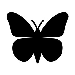 Butterfly Icon