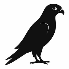 Kestrel isolated on white background, Kestrel vector illustration, bird on a branch vector art, Kestrel silhouette, bird vector icon, Kestrel on a branch line art, eps
