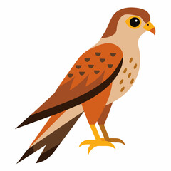 Kestrel isolated on white background, Kestrel vector illustration, bird on a branch vector art, Kestrel silhouette, bird vector icon, Kestrel on a branch line art, eps
