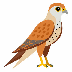 Kestrel isolated on white background, Kestrel vector illustration, bird on a branch vector art, Kestrel silhouette, bird vector icon, Kestrel on a branch line art, eps
