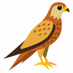 Kestrel isolated on white background, Kestrel vector illustration, bird on a branch vector art, Kestrel silhouette, bird vector icon, Kestrel on a branch line art, eps
