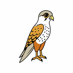 Kestrel isolated on white background, Kestrel vector illustration, bird on a branch vector art, Kestrel silhouette, bird vector icon, Kestrel on a branch line art, eps
