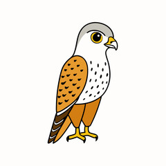 Kestrel isolated on white background, Kestrel vector illustration, bird on a branch vector art, Kestrel silhouette, bird vector icon, Kestrel on a branch line art, eps
