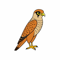Kestrel isolated on white background, Kestrel vector illustration, bird on a branch vector art, Kestrel silhouette, bird vector icon, Kestrel on a branch line art, eps
