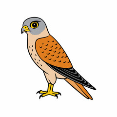 Kestrel isolated on white background, Kestrel vector illustration, bird on a branch vector art, Kestrel silhouette, bird vector icon, Kestrel on a branch line art, eps
