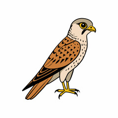 Kestrel isolated on white background, Kestrel vector illustration, bird on a branch vector art, Kestrel silhouette, bird vector icon, Kestrel on a branch line art, eps
