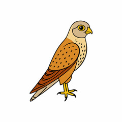 Kestrel isolated on white background, Kestrel vector illustration, bird on a branch vector art, Kestrel silhouette, bird vector icon, Kestrel on a branch line art, eps

