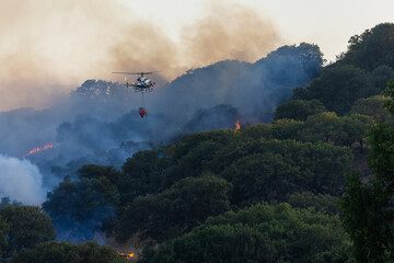 Hubschrauber löscht Feuer beim Waldbrand