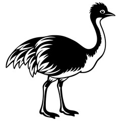 Black and White Emu Coloring Page