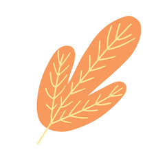 A vibrant orange autumn leaf with delicate veins, perfect for fall designs, seasonal projects, or nature-themed products.