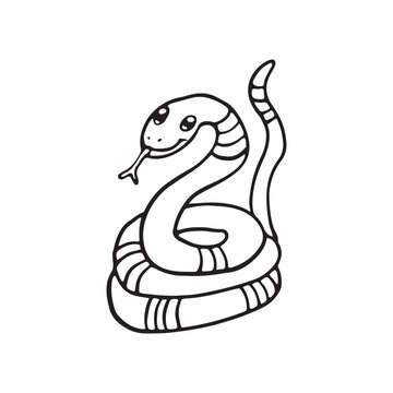 recommend clip art:  A black and white illustration of a happy snake coiled up with friendly expression. This image is ideal for educational content, children's books, or as coloring activity for kids learning reptiles.
