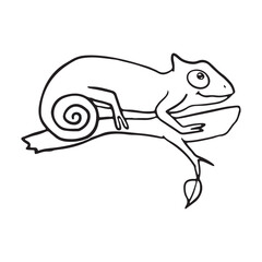 Simple illustration of a chameleon on a branch. Perfect for educational content, nature blogs, or articles on reptiles and jungle wildlife.