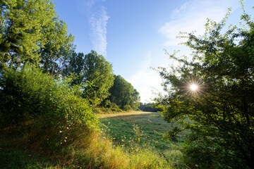 Obraz premium Alluvial meadows in The preserved natural site of Bonny islands