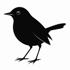 Warbler isolated on white background, Warbler vector illustration, bird on a branch vector art, Warbler silhouette, bird vector icon, Warbler on a branch line art, eps