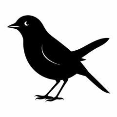 Warbler isolated on white background, Warbler vector illustration, bird on a branch vector art, Warbler silhouette, bird vector icon, Warbler on a branch line art, eps