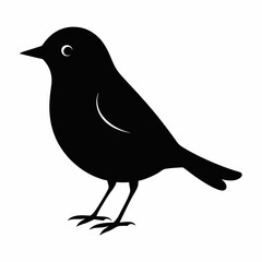 Obraz premium Warbler isolated on white background, Warbler vector illustration, bird on a branch vector art, Warbler silhouette, bird vector icon, Warbler on a branch line art, eps