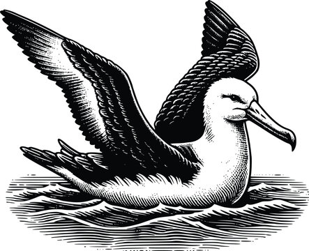 recommend clip art: Albatross silhouette vector Illustration with a white background