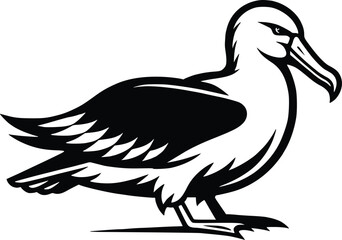 Albatross silhouette vector Illustration with a white background