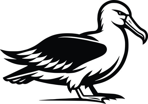 recommend clip art: Albatross silhouette vector Illustration with a white background