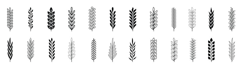 Big set of black branches with leaves. Hand drawing tree branches. Herbs, flowers and plants elements. Laurels wreaths, swirls, twigs and flower ornaments. Vintage decorative elements.