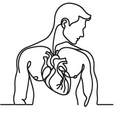 Obraz premium Heart anatomy hand drawn illustrations. 