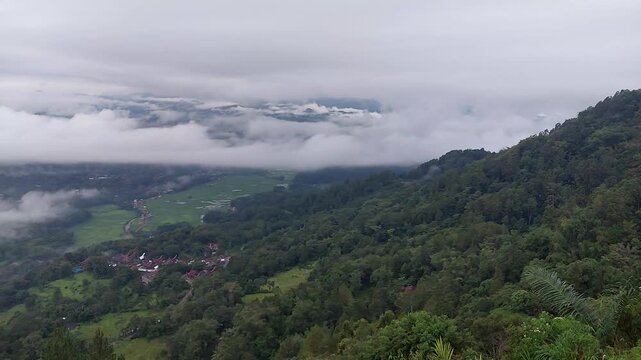 Natural Landscape of Indonesia. Green trees in forest. Day time photo