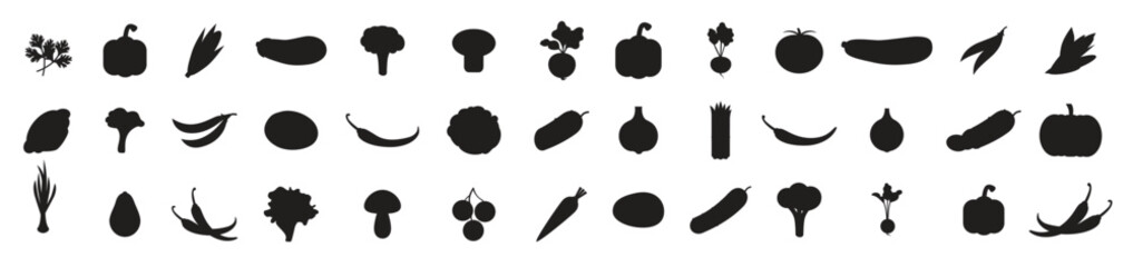 Set of vegetables. Different colorful vegetables. All kinds of green vegi for cooking meals, planting in garden