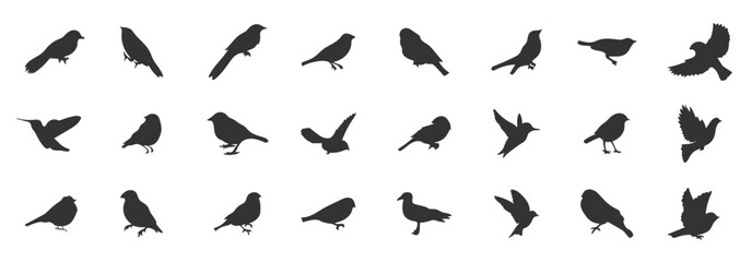 Silhouettes of birds doodle set