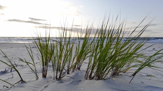 Morze Bałtyckie, zachodząca słońce i pusta piaszczysta plaża. 