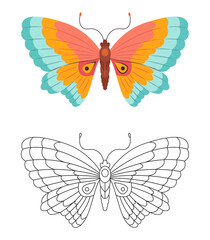 Butterfly Coloring page template. Colorful and black white butterfly doodle style. Beautiful insects line art, Hand Drawn. Retro style. Spring summer seasons. Coloring book