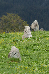 Menhire aus der Steinreihe von Falera, Kanton Graubünden, Schweiz
