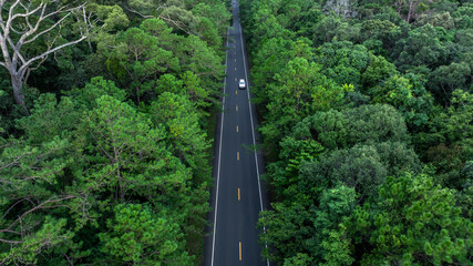 Aerial view asphalt forest road  passing through the green forest tree, Forest road in the middle...