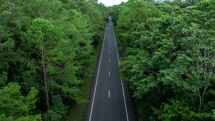 Obraz premium Aerial view asphalt forest road passing through the green forest tree, Forest road in the middle of the jungle green forest tree, Road in woodland outdoor adventure trip.