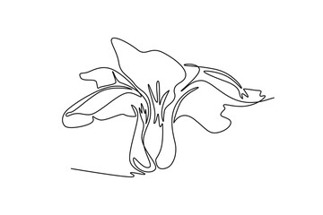 Single continuous line drawing of whole healthy organic mustard green leaves for farm logo identity. Fresh mustard cabbage concept for vegetable icon. One line draw graphic design vector illustration