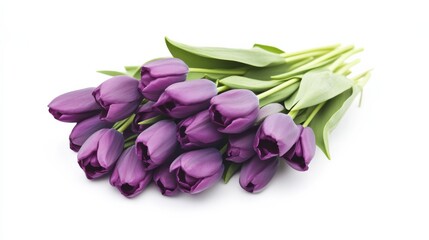 A bouquet of purple tulips on a