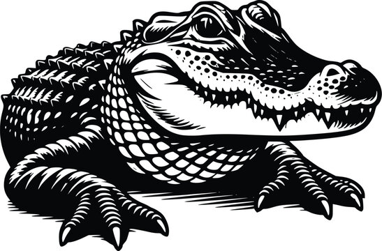 Clean alligator silhouette for all projects - reptile silhouette - alligator illustration - minimalistic alligator vector