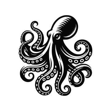 octopus line art vector,  octopus icon silhouette vector illustration
