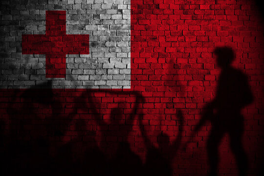 tonga flag painting on brick wall and Protesters shadow