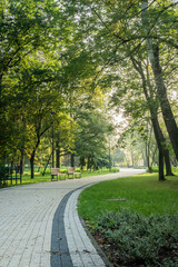 Early morning stroll through a peaceful public park with benches along a winding path