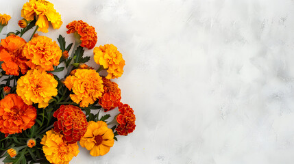 Fototapeta premium Marigold bouquet on background illustration