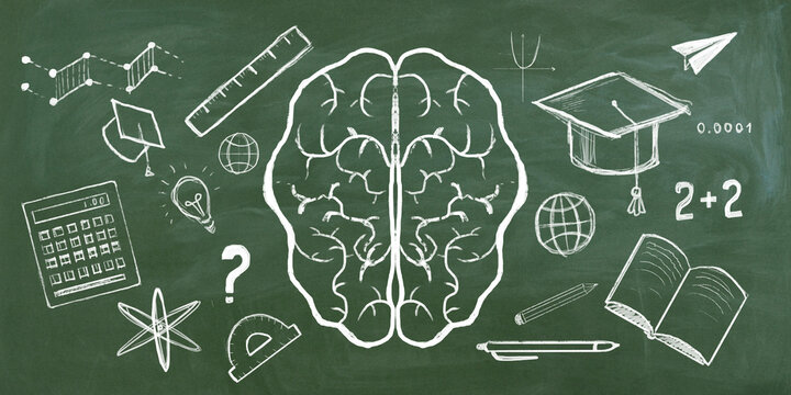 Back to School Chalkboard with Educational Doodles and Brain Illustration.