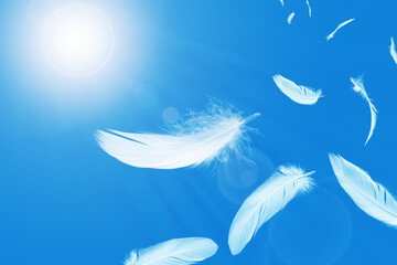 Abstract White Bird Feathers Floating in A Blue Sky. Sunlight Shines Down on The Feathers. Softness...