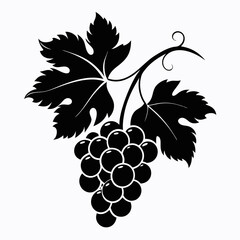 Obraz premium Bunch of grapes illustration