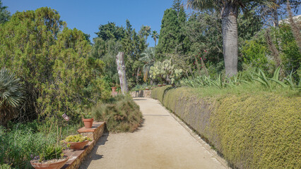 Blanes, Spain - 10 Aug, 2024: The Marimurtra Botanical Gardens in Blanes, Costa Brava, Catalonia