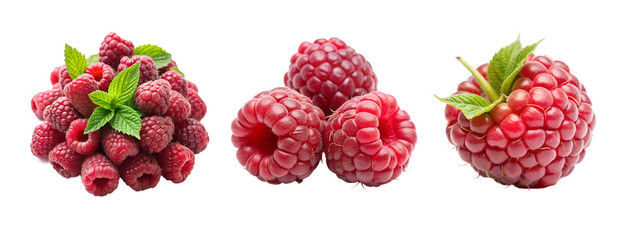 Collections of Raspberries Fruits in Transparent Background - Organic Juicy Fruits for Dessert and Others