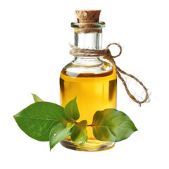A glass bottle of essential oil with fresh green leaves, perfect for aromatherapy and wellness themes.